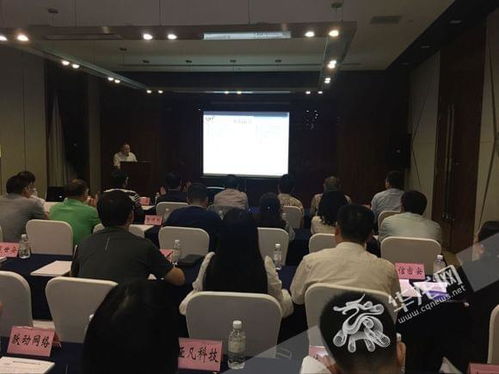 关注网络安全建设 重庆市信息技术服务机构与产品 服务 推荐目录 发布